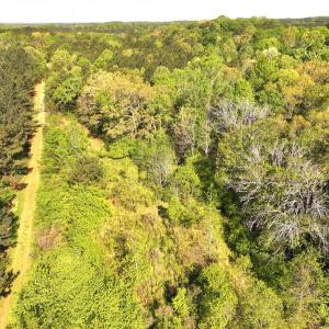 Photo #10 of Off Fentress Road, Robbins, NC 9.1 acres