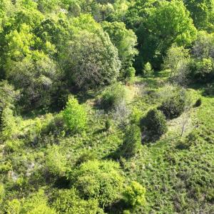 Photo #11 of Off Fentress Road, Robbins, NC 9.1 acres