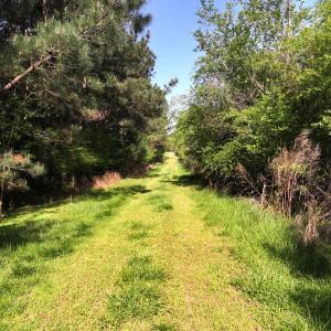 Photo #13 of Off Fentress Road, Robbins, NC 9.1 acres