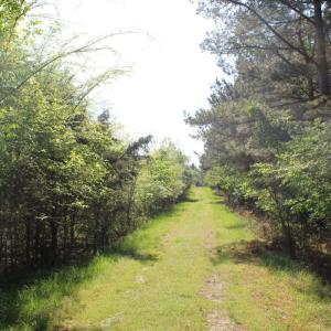 Photo #14 of Off Fentress Road, Robbins, NC 9.1 acres