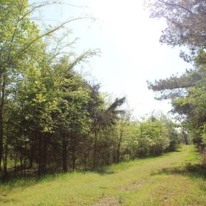 Photo #15 of Off Fentress Road, Robbins, NC 9.1 acres