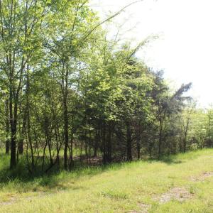 Photo #16 of Off Fentress Road, Robbins, NC 9.1 acres