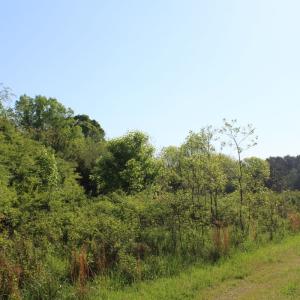 Photo #17 of Off Fentress Road, Robbins, NC 9.1 acres
