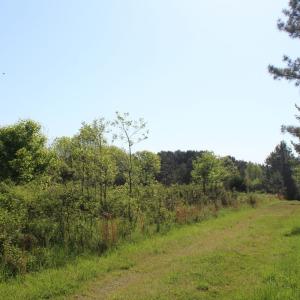 Photo #18 of Off Fentress Road, Robbins, NC 9.1 acres