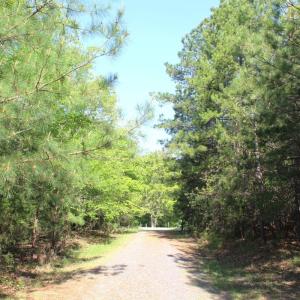Photo #19 of Off Fentress Road, Robbins, NC 9.1 acres