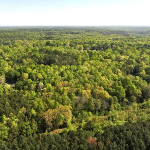 Photo #2 of Off Fentress Road, Robbins, NC 9.1 acres