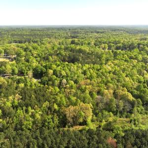 Photo #3 of Off Fentress Road, Robbins, NC 9.1 acres