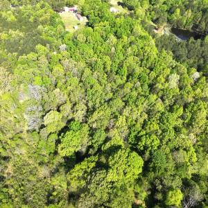 Photo #7 of Off Fentress Road, Robbins, NC 9.1 acres