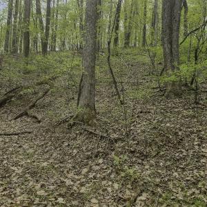 Photo #2 of Off Dots Dr, Charlottesville, VA 6.9 acres