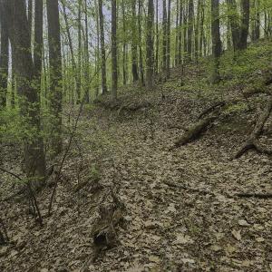 Photo #3 of Off Dots Dr, Charlottesville, VA 6.9 acres