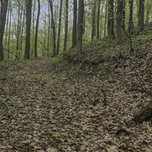 Photo #4 of Off Dots Dr, Charlottesville, VA 6.9 acres