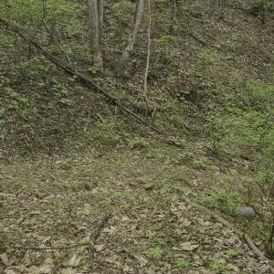Photo #6 of Off Dots Dr, Charlottesville, VA 6.9 acres