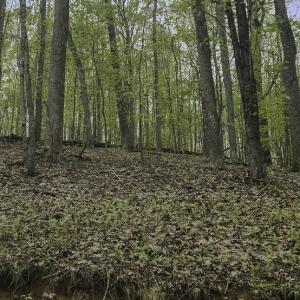Photo #9 of Off Dots Dr, Charlottesville, VA 6.9 acres