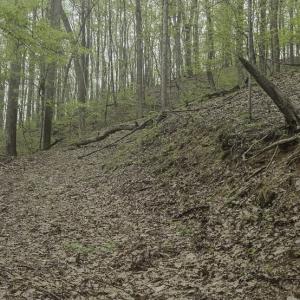 Photo #11 of Off Dots Dr, Charlottesville, VA 6.9 acres