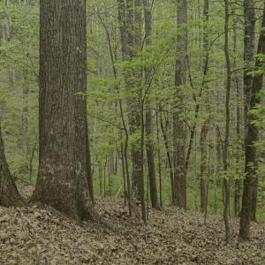 Photo #12 of Off Dots Dr, Charlottesville, VA 6.9 acres