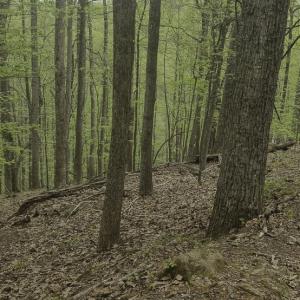 Photo #13 of Off Dots Dr, Charlottesville, VA 6.9 acres