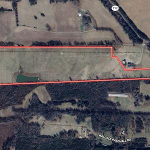 Photo #19 of Off Pashcall Rd, Warrenton, NC 39.3 acres