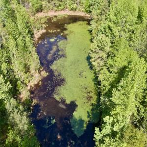 Photo #11 of SOLD property in Off US Hwy 220 Alternate, Ellerbe, NC 33.0 acres