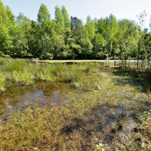 Photo #14 of SOLD property in Off US Hwy 220 Alternate, Ellerbe, NC 33.0 acres