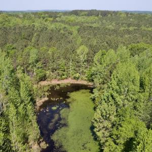 Photo #15 of SOLD property in Off US Hwy 220 Alternate, Ellerbe, NC 33.0 acres