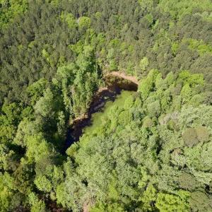 Photo #16 of SOLD property in Off US Hwy 220 Alternate, Ellerbe, NC 33.0 acres