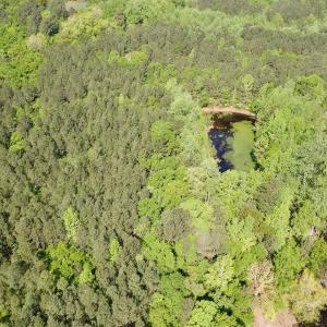 Photo #1 of SOLD property in Off US Hwy 220 Alternate, Ellerbe, NC 33.0 acres