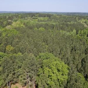 Photo #2 of SOLD property in Off US Hwy 220 Alternate, Ellerbe, NC 33.0 acres