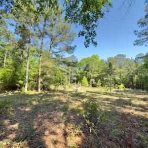 Photo #3 of SOLD property in Off US Hwy 220 Alternate, Ellerbe, NC 33.0 acres