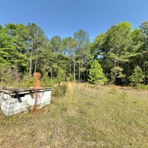 Photo #4 of SOLD property in Off US Hwy 220 Alternate, Ellerbe, NC 33.0 acres