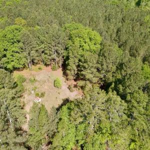 Photo #5 of SOLD property in Off US Hwy 220 Alternate, Ellerbe, NC 33.0 acres