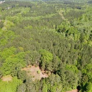 Photo #6 of SOLD property in Off US Hwy 220 Alternate, Ellerbe, NC 33.0 acres