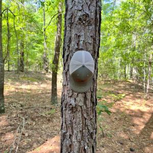 Photo #7 of SOLD property in Off US Hwy 220 Alternate, Ellerbe, NC 33.0 acres