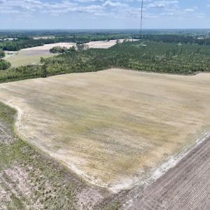 Photo #10 of Off Hwy 41, Trenton, NC 18.1 acres