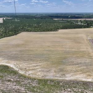 Photo #11 of Off Hwy 41, Trenton, NC 18.1 acres