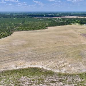 Photo #12 of Off Hwy 41, Trenton, NC 18.1 acres