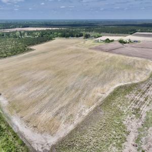 Photo #13 of Off Hwy 41, Trenton, NC 18.1 acres