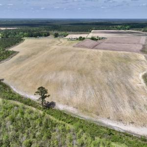 Photo #14 of Off Hwy 41, Trenton, NC 18.1 acres