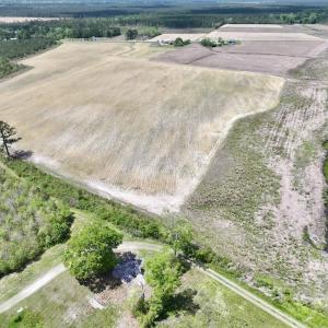 Photo #15 of Off Hwy 41, Trenton, NC 18.1 acres