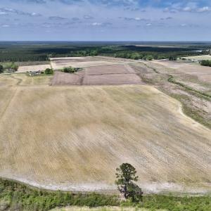Photo #16 of Off Hwy 41, Trenton, NC 18.1 acres