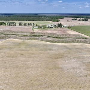 Photo #17 of Off Hwy 41, Trenton, NC 18.1 acres