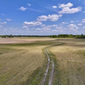 Photo #18 of Off Hwy 41, Trenton, NC 18.1 acres