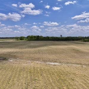 Photo #19 of Off Hwy 41, Trenton, NC 18.1 acres