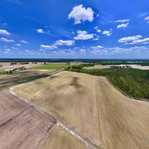 Photo #1 of Off Hwy 41, Trenton, NC 18.1 acres