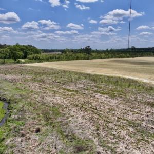 Photo #20 of Off Hwy 41, Trenton, NC 18.1 acres