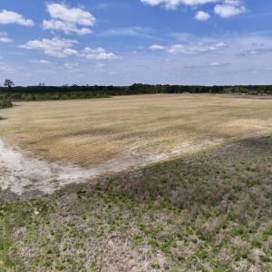 Photo #21 of Off Hwy 41, Trenton, NC 18.1 acres