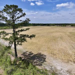Photo #22 of Off Hwy 41, Trenton, NC 18.1 acres