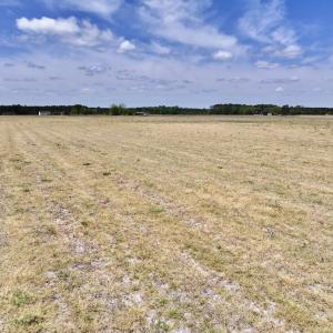 Photo #23 of Off Hwy 41, Trenton, NC 18.1 acres