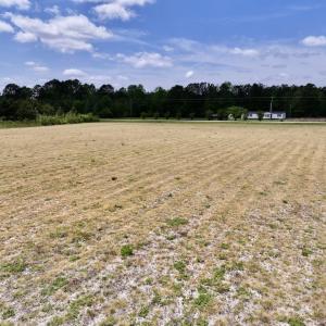 Photo #24 of Off Hwy 41, Trenton, NC 18.1 acres