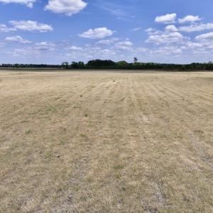 Photo #26 of Off Hwy 41, Trenton, NC 18.1 acres