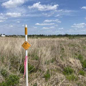 Photo #27 of Off Hwy 41, Trenton, NC 18.1 acres